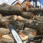 Mejora de prestaciones para la producción de biomasa